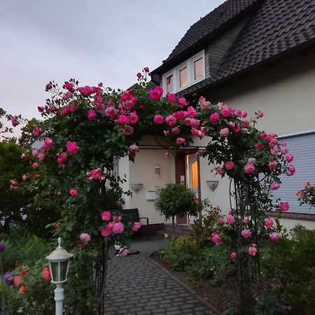 Apartamento Willy Und Gudrun Rheda-Wiedenbrück Exterior foto